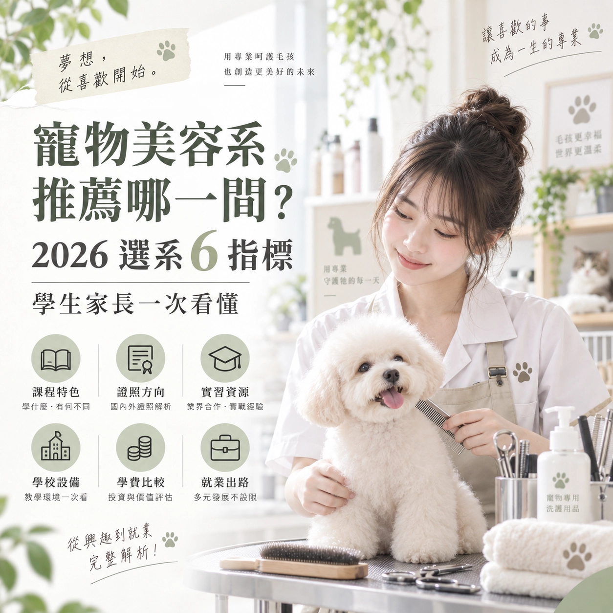 挑寵物美容系要看哪些條件？